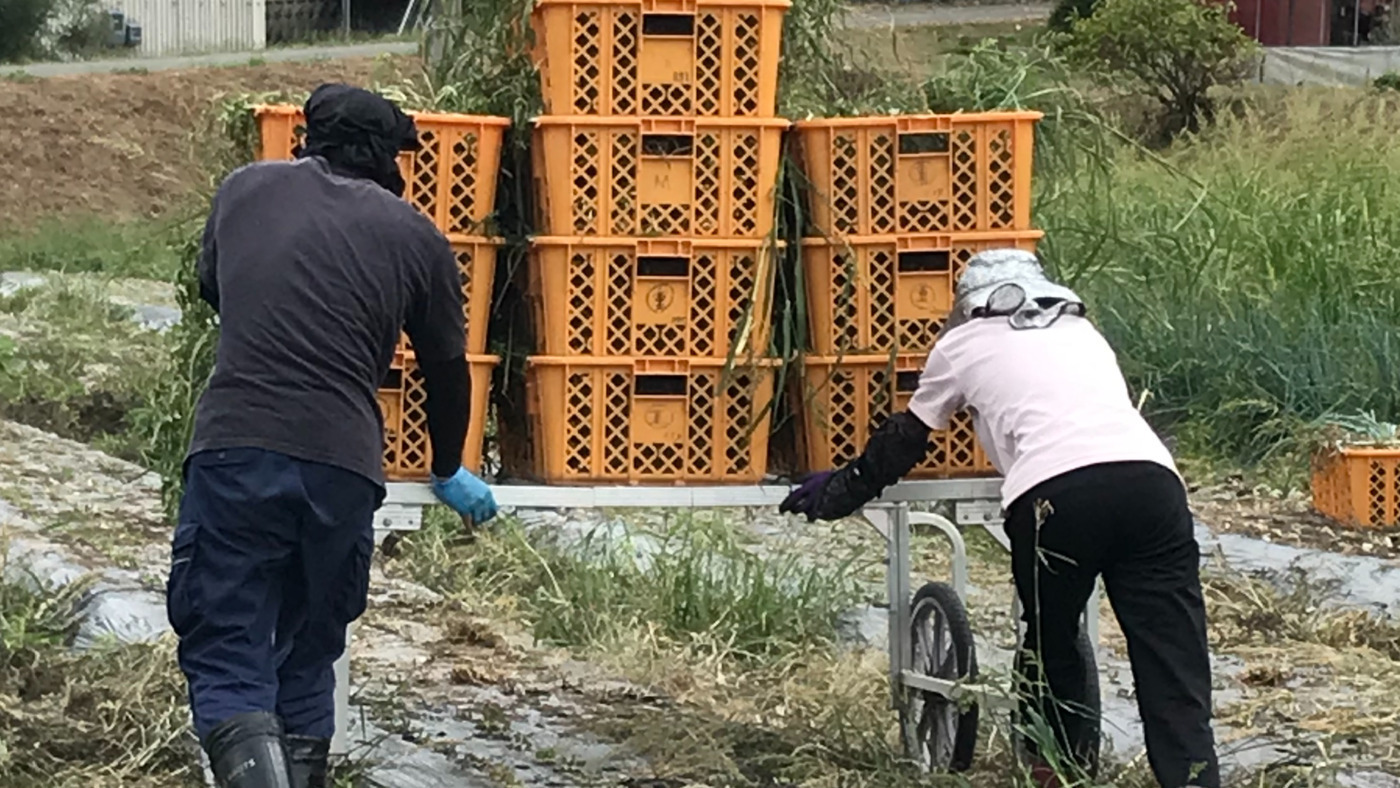 多機能型事業所あざれあ