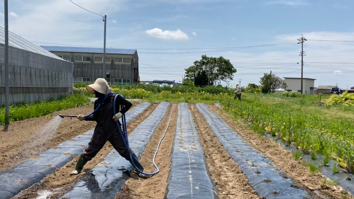 Vegimo Farm B 就労継続支援事業所