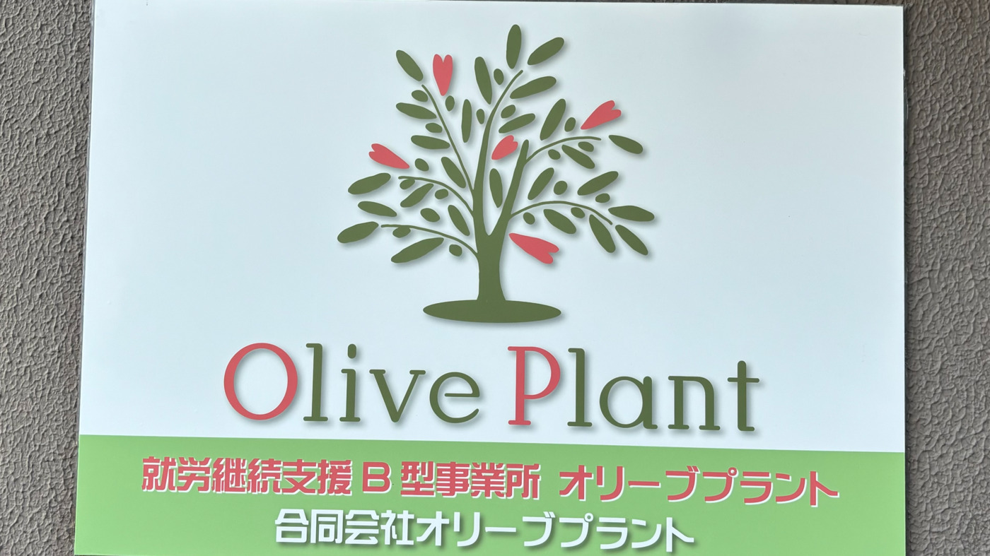 オリーブプラント