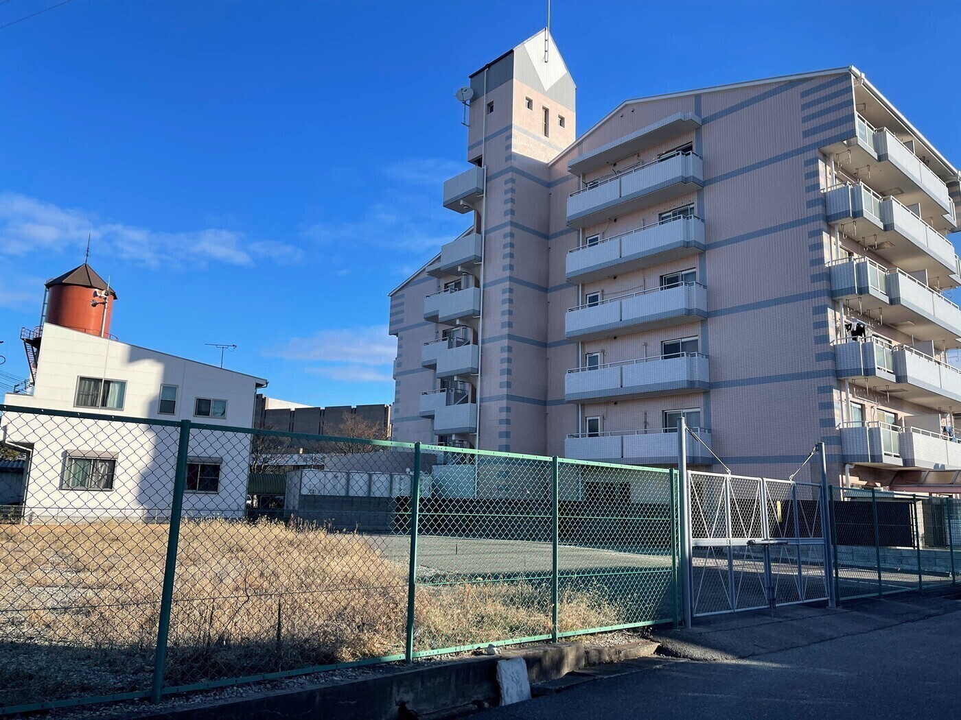 四つ葉のクローバー