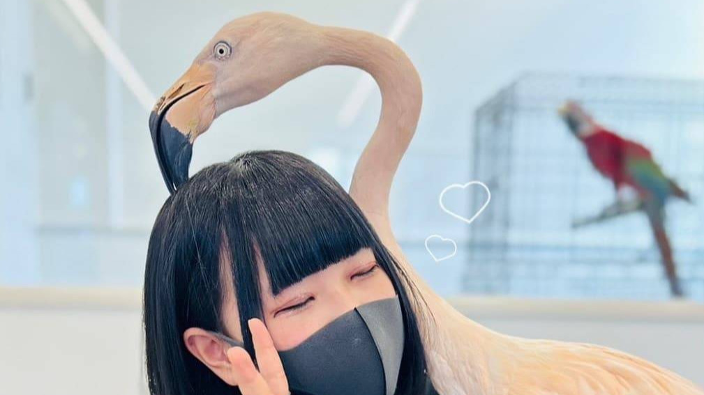 想いのまま