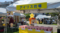 イベント参加風景