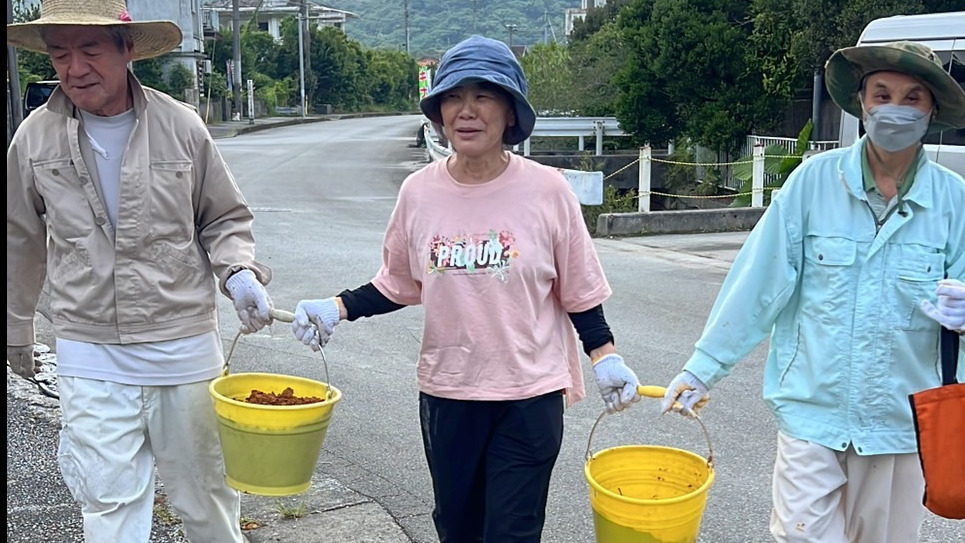 光と風の和 はんぱたやー
