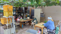 ブドウ棚の下の作業場風景