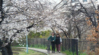 近くには公園があり、季節ごとに景色が変わり過ごしやすい所です