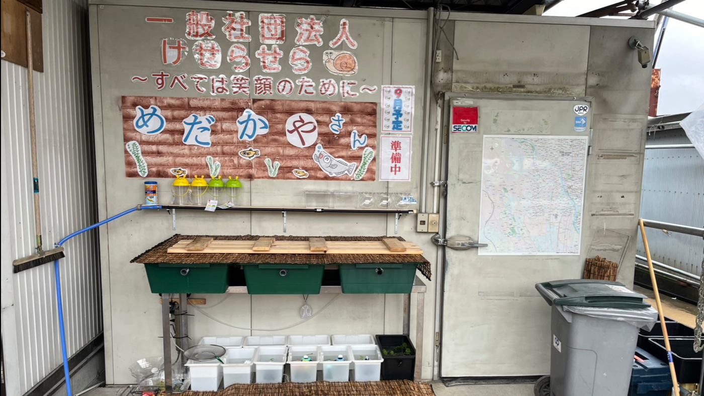 わーくわーく