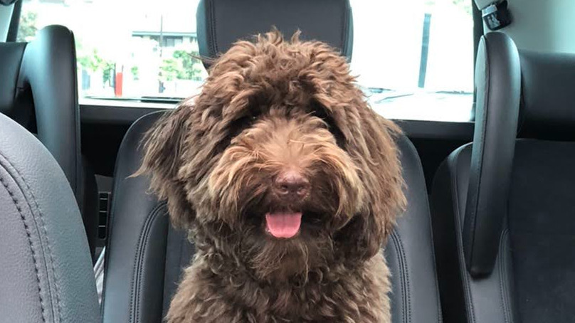 アクアスマイル(京都府京都市伏見区の就労継続支援B型事業所)の詳細