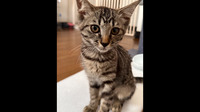 杏ちゃんの「遊んで♪」ショットです