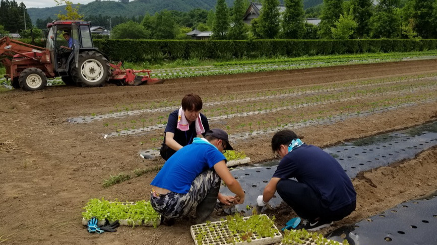 就労継続支援B型事業所サンサンファクトリーの写真(宮城県仙台市太白区)