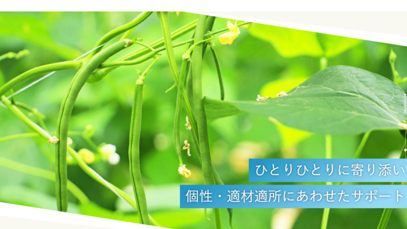 ふぉれすと