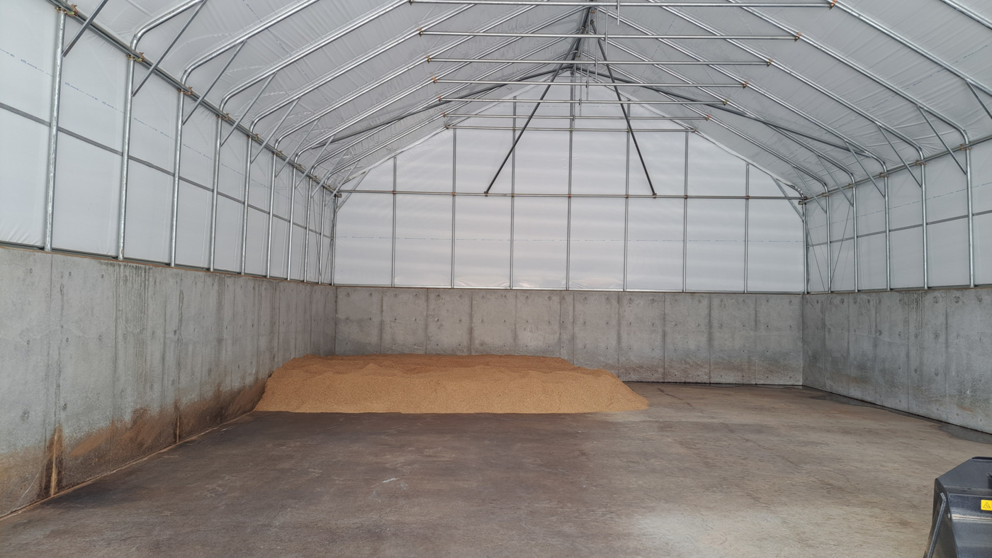 げんきのこ