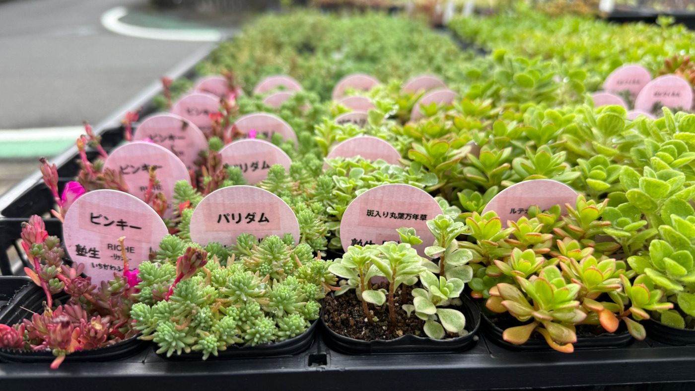 就労継続支援b型事業所リッシュ