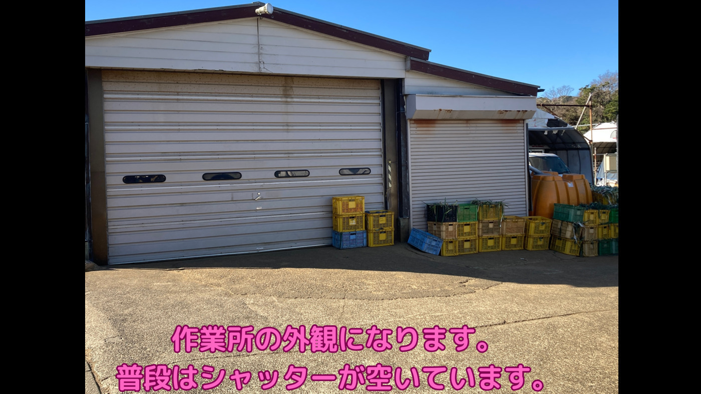 写真51423