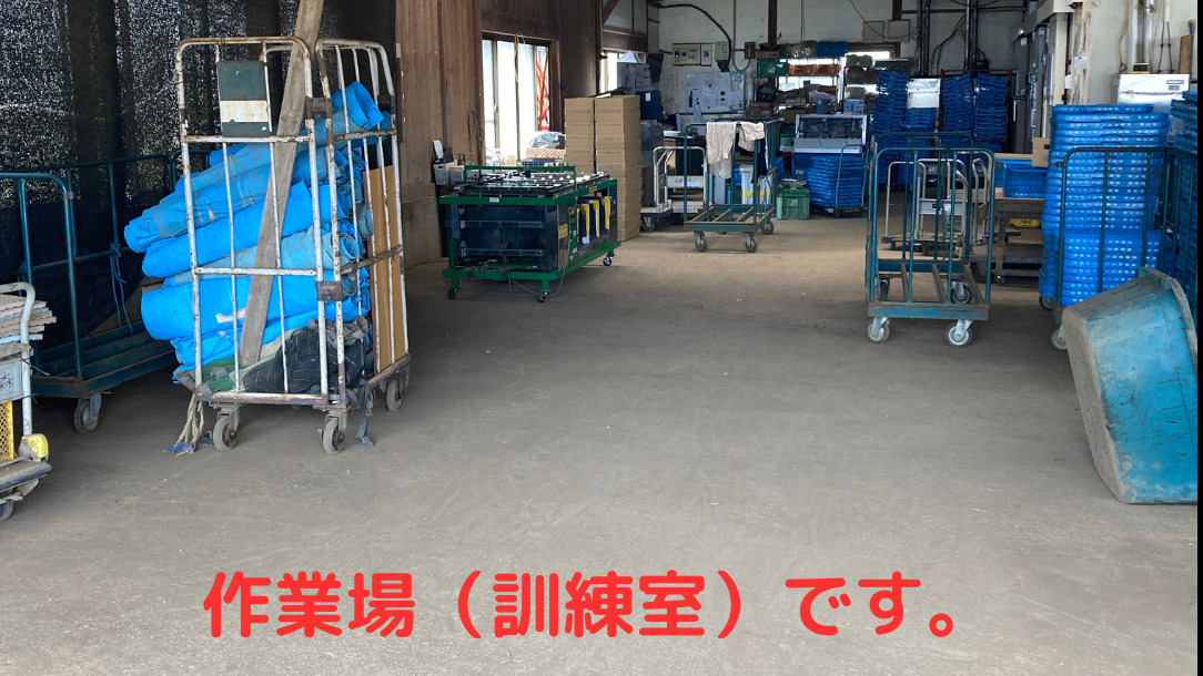 写真51424