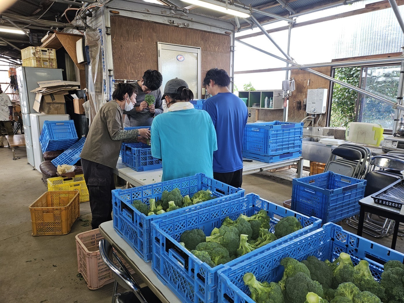 ひだまり就労支援