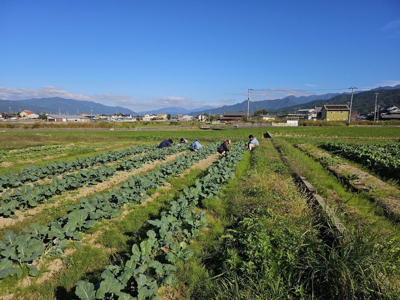 ひだまり就労支援