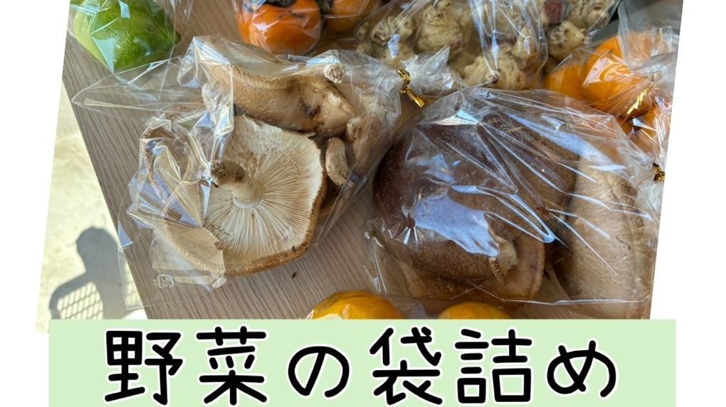 アンセムナゴヤ