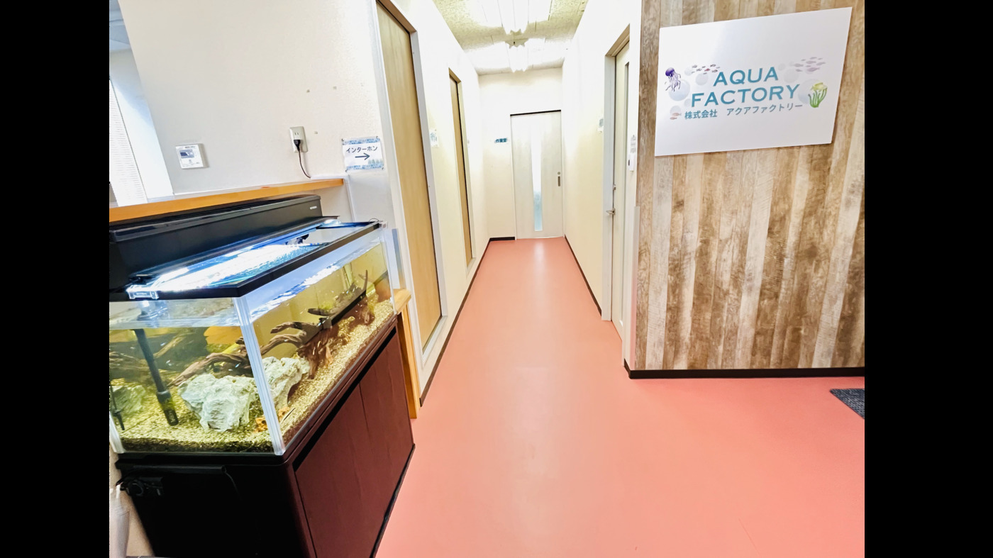AQUA FACTORY