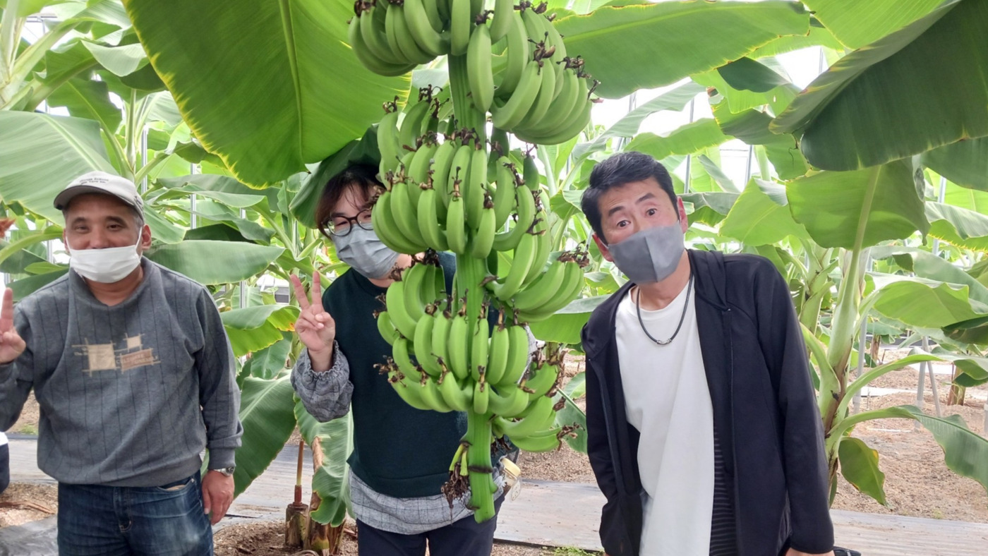 写真54947
