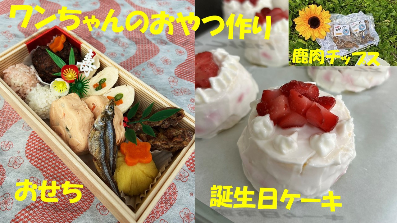 いぬとねこのおやつ工房