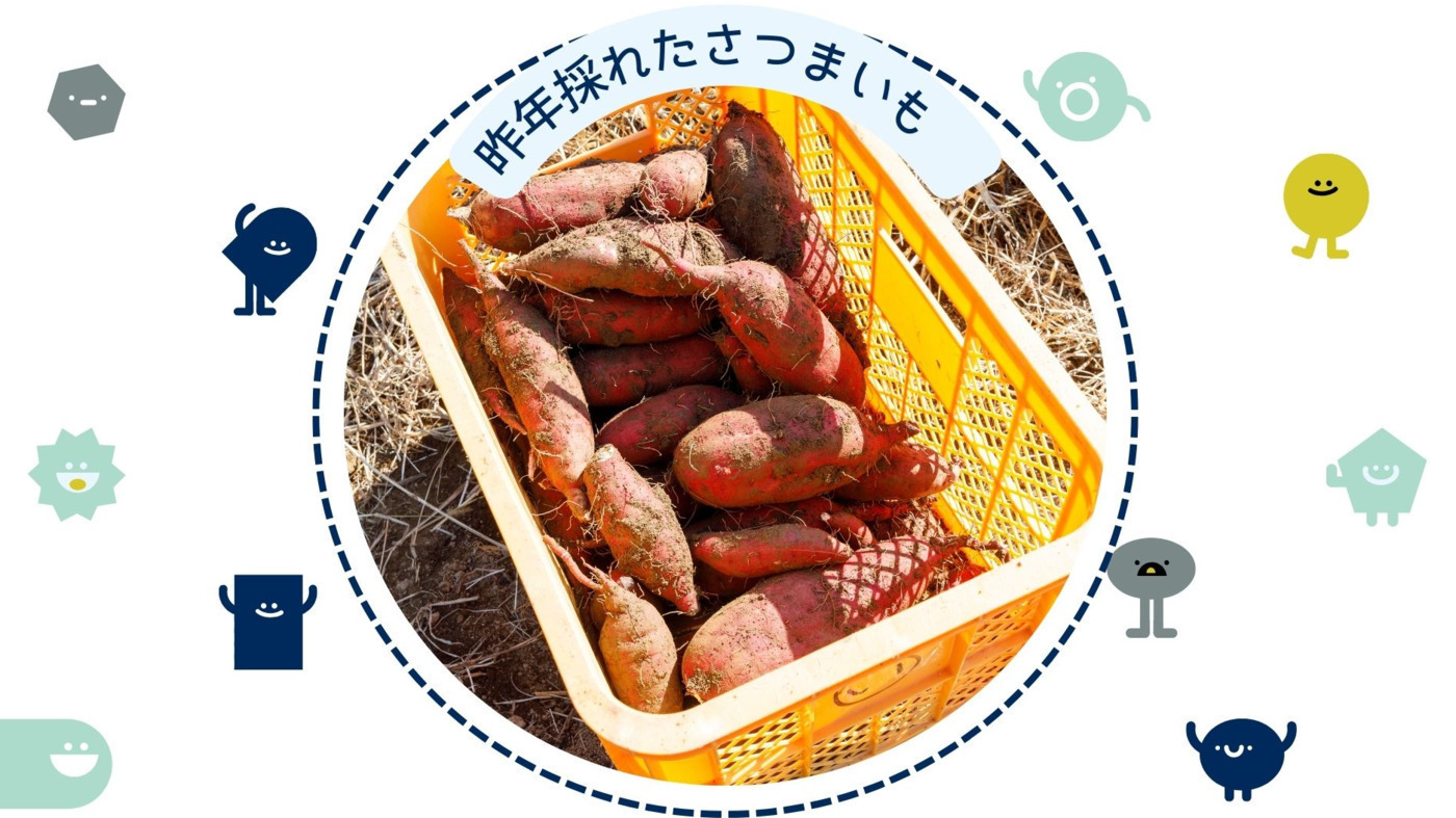 写真55677