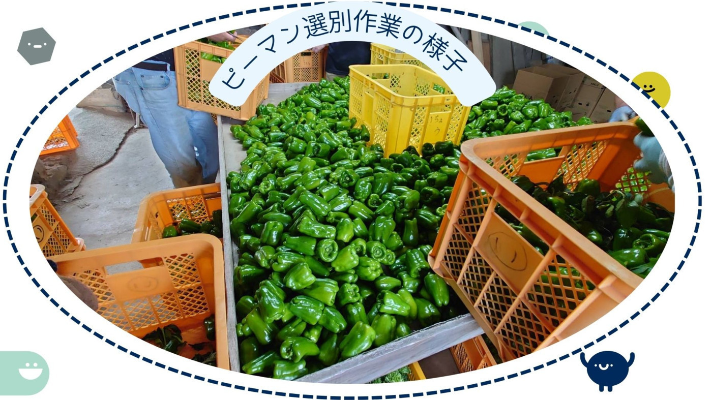 写真55676