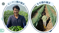 施設外就労　畑