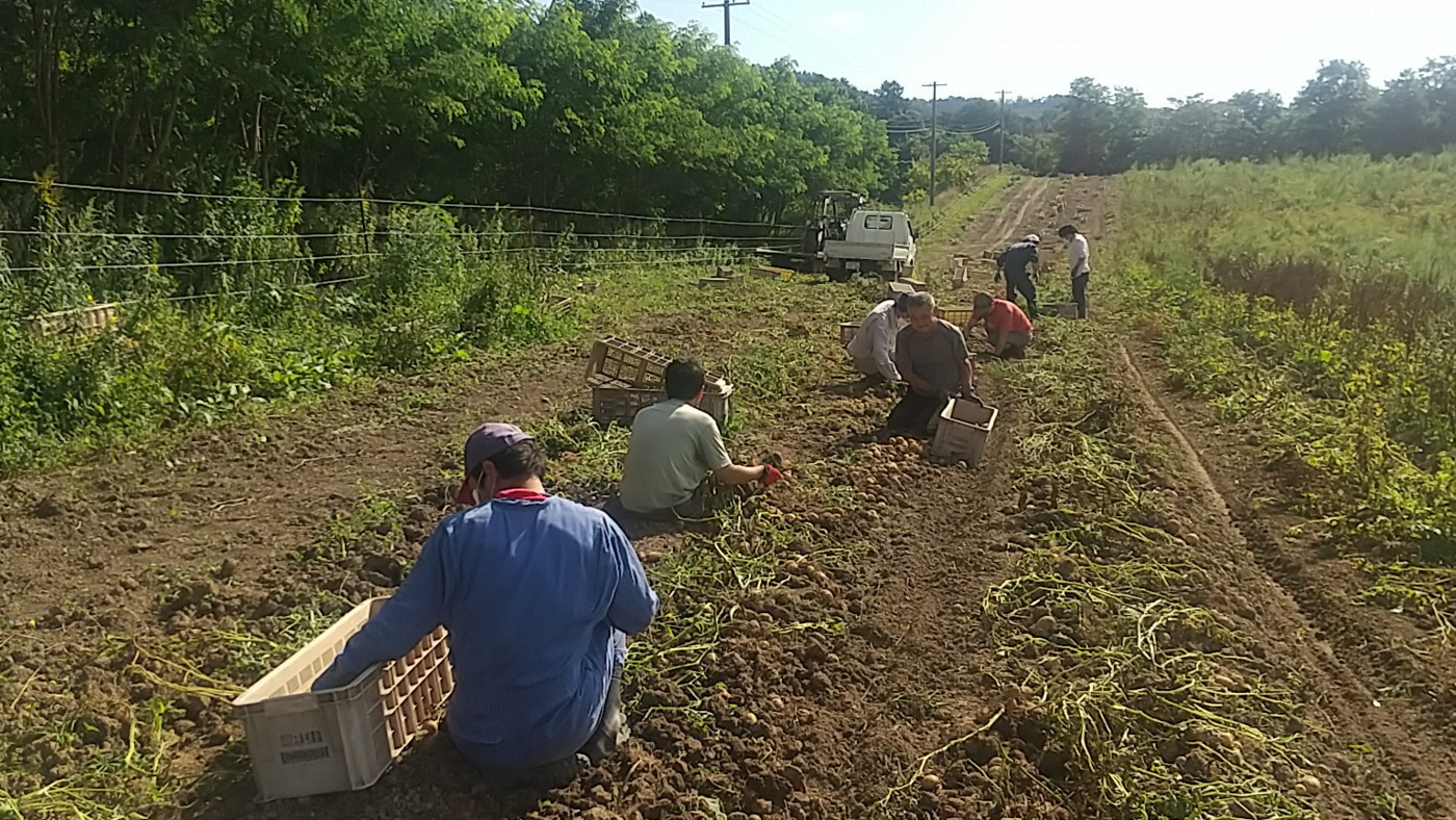 合同会社自然農業社