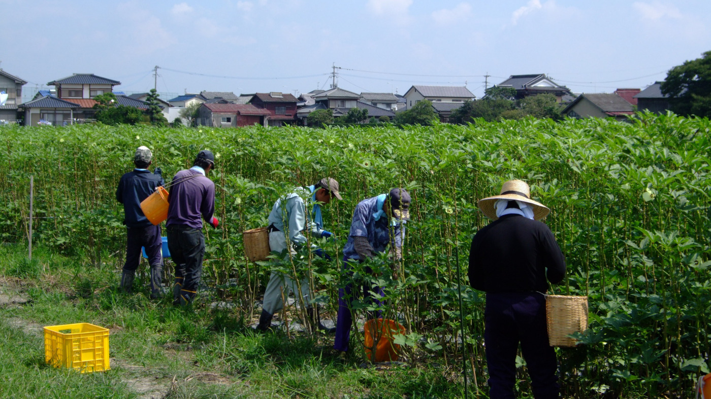 東建アグリ