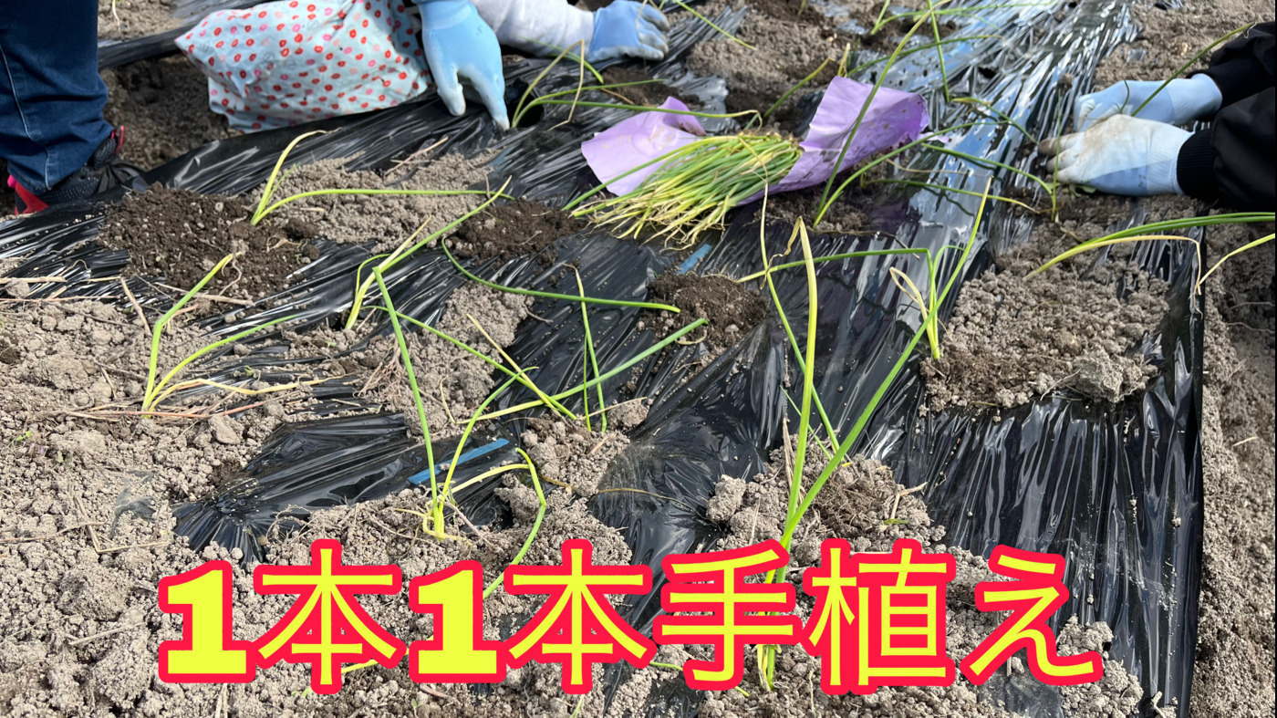 まごころの家 若草
