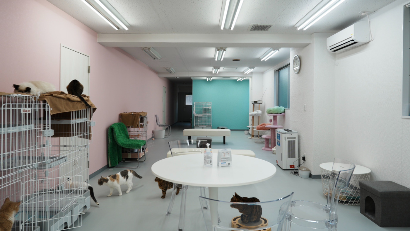 ANELLA CAFE 谷塚店