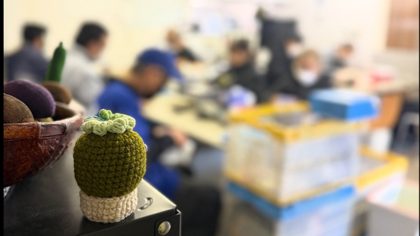 写真49772