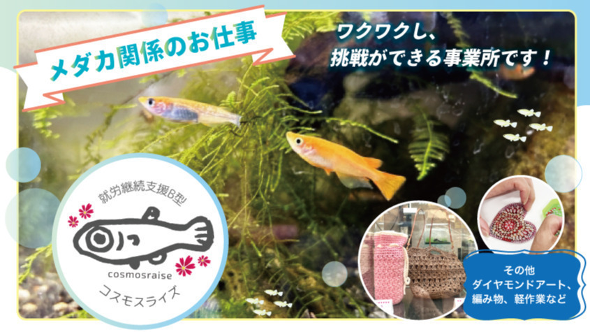 コスモスライズ