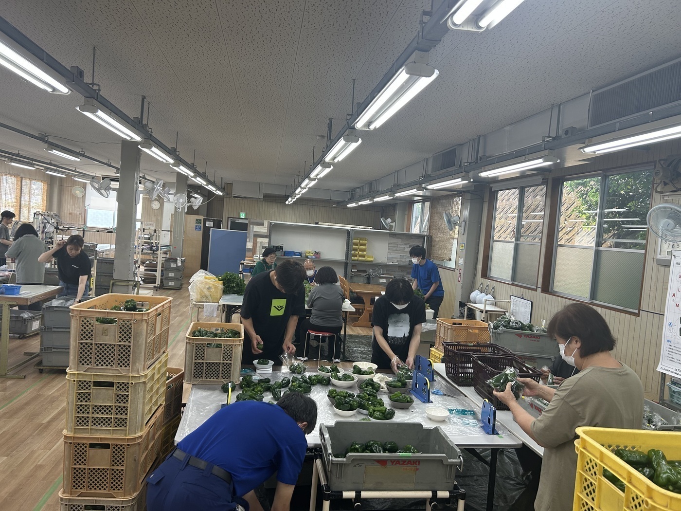 ほほえみ