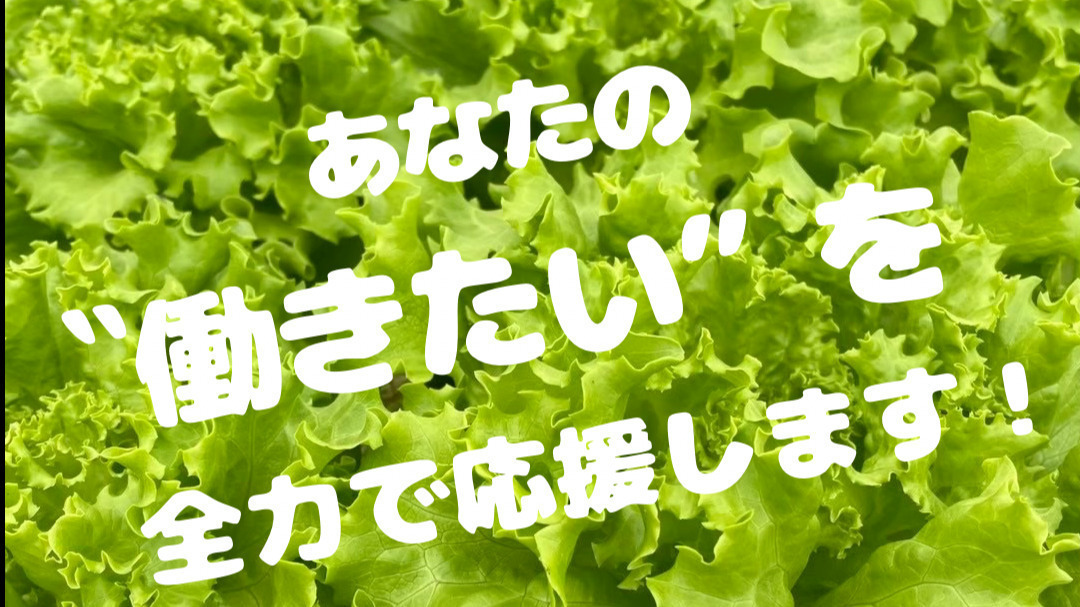 ワークスタジオ亀岡