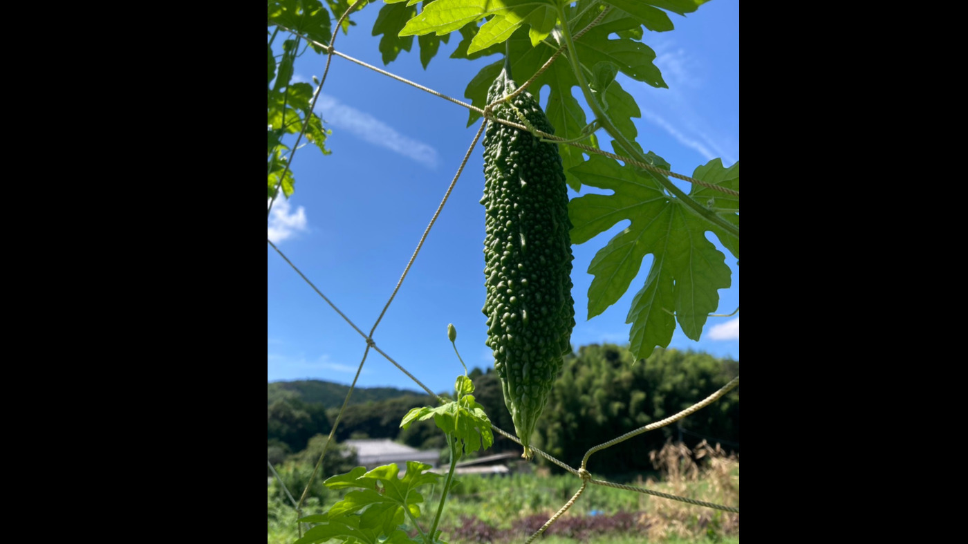 就労支援やまびこ農苑えぼし
