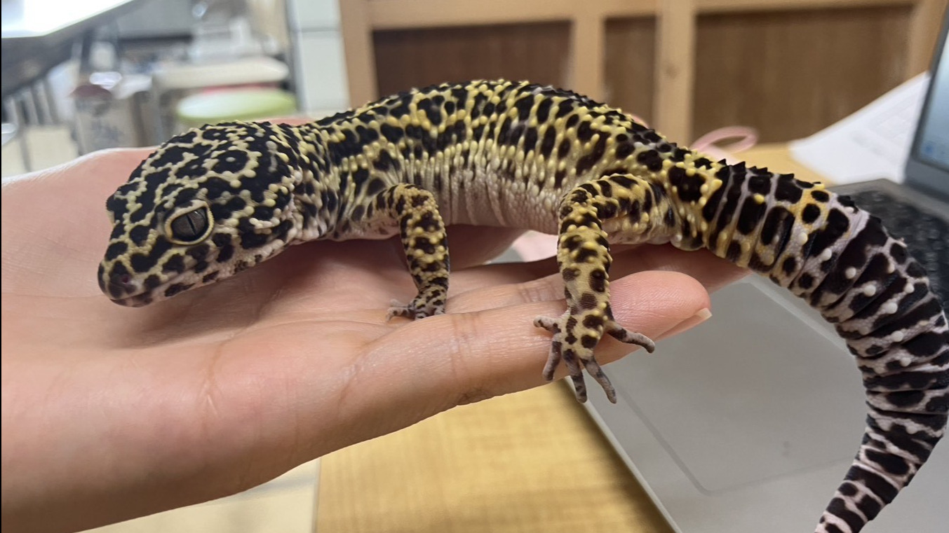 就活サポートセンターわーく・はーと