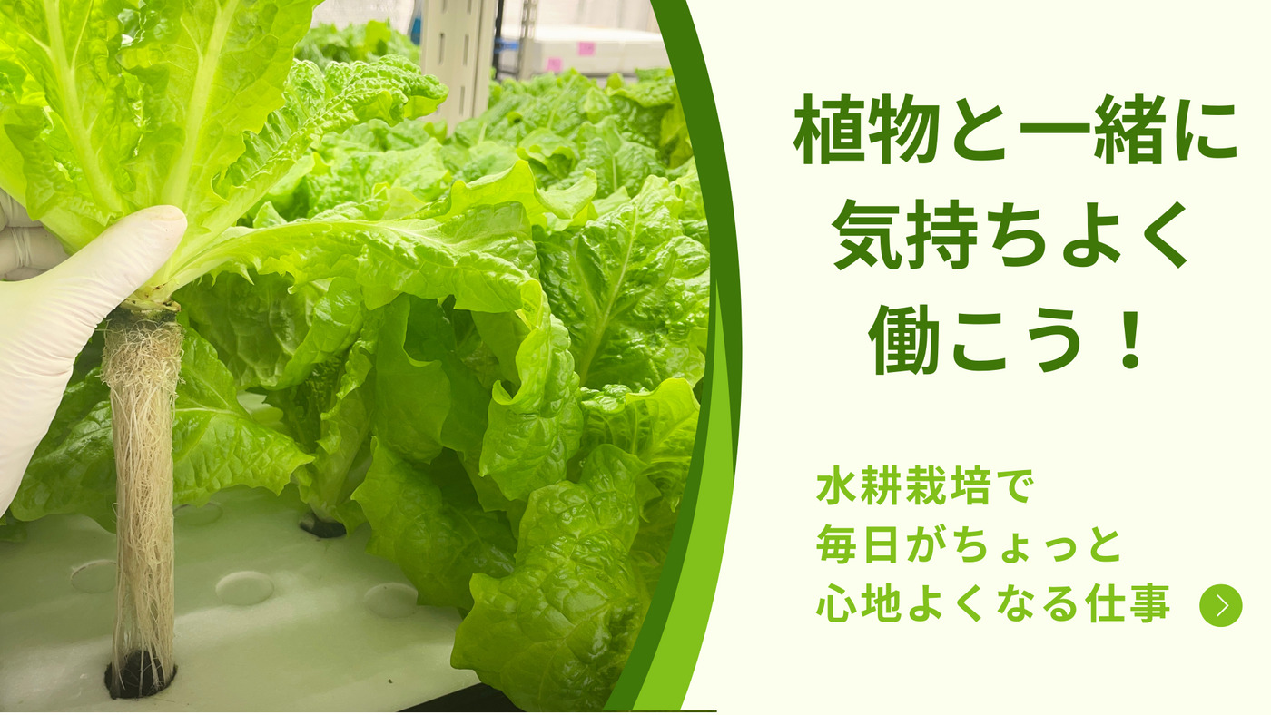 アサヒファンレイズファーム松戸(千葉県松戸市の就労継続支援B型事業所