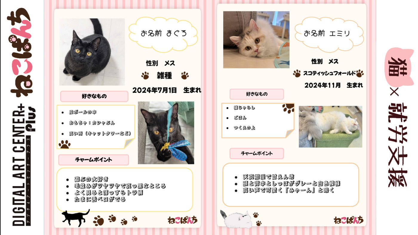 デジタルアートセンタープラスねこぱんち(兵庫県神戸市中央区の就労