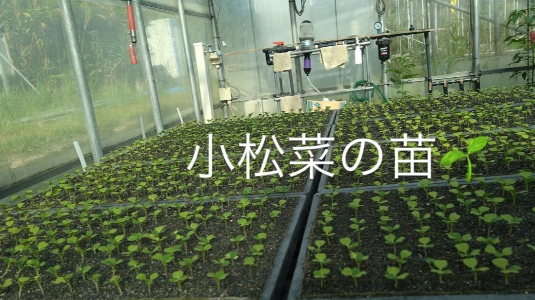 指定福祉サービスライトハウス