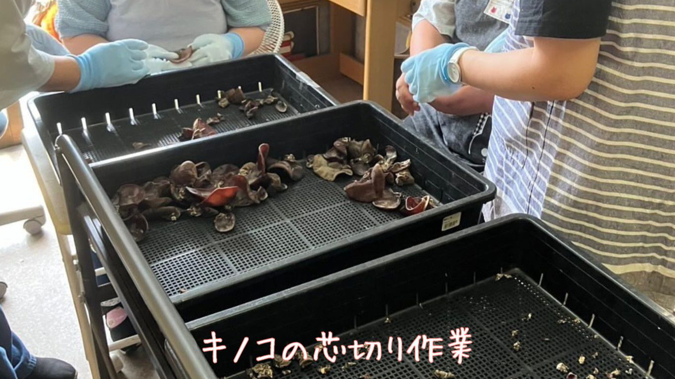 てしろでともに多機能型事業所