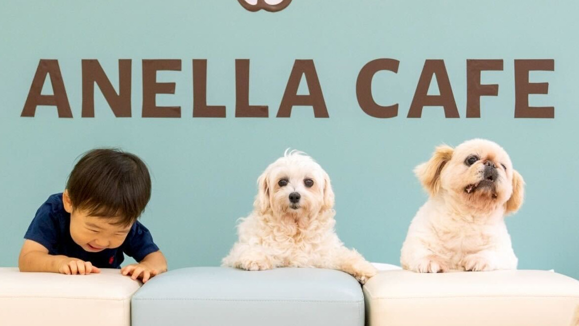 ANELLA CAFE 淵野辺店