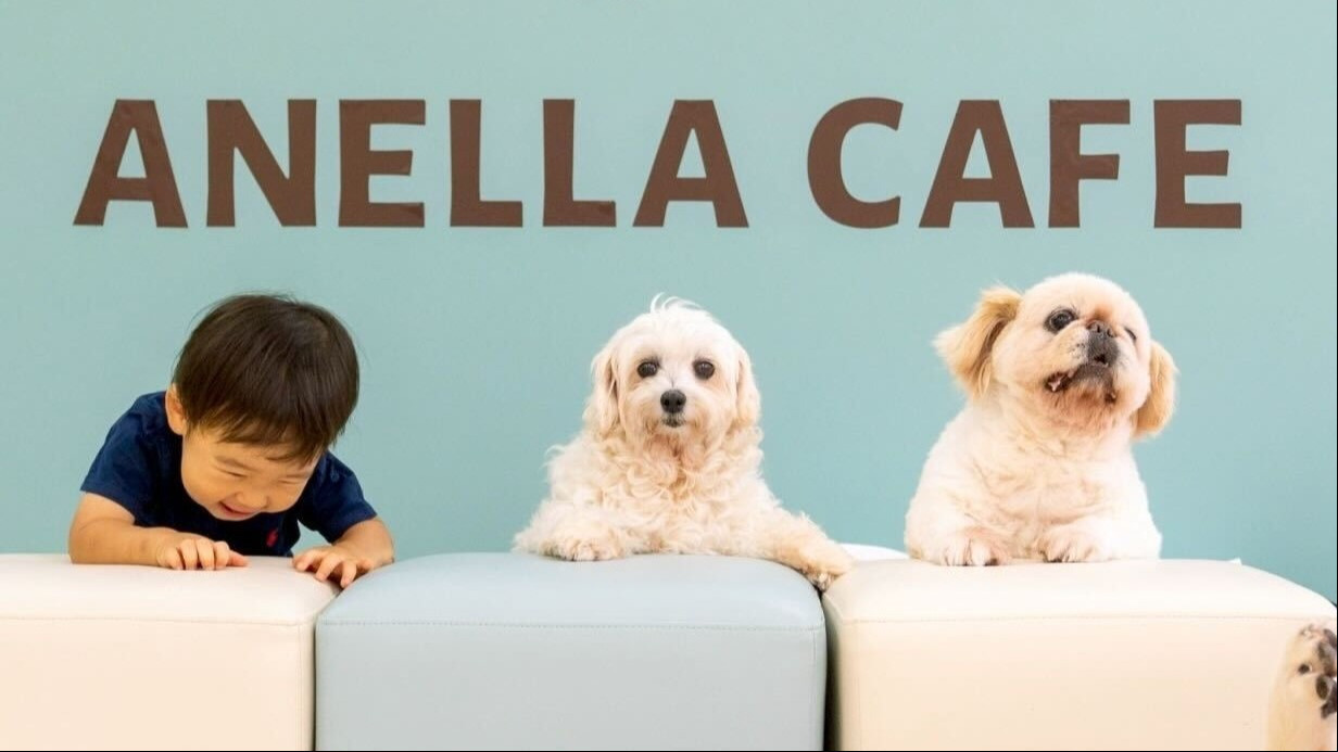 ANELLA CAFE 西宮店