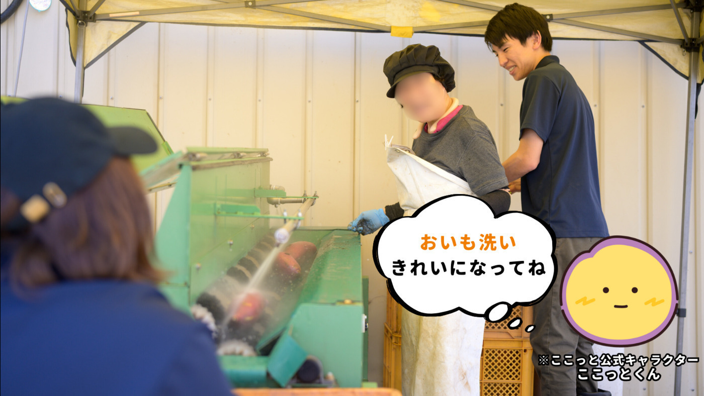 ここっと