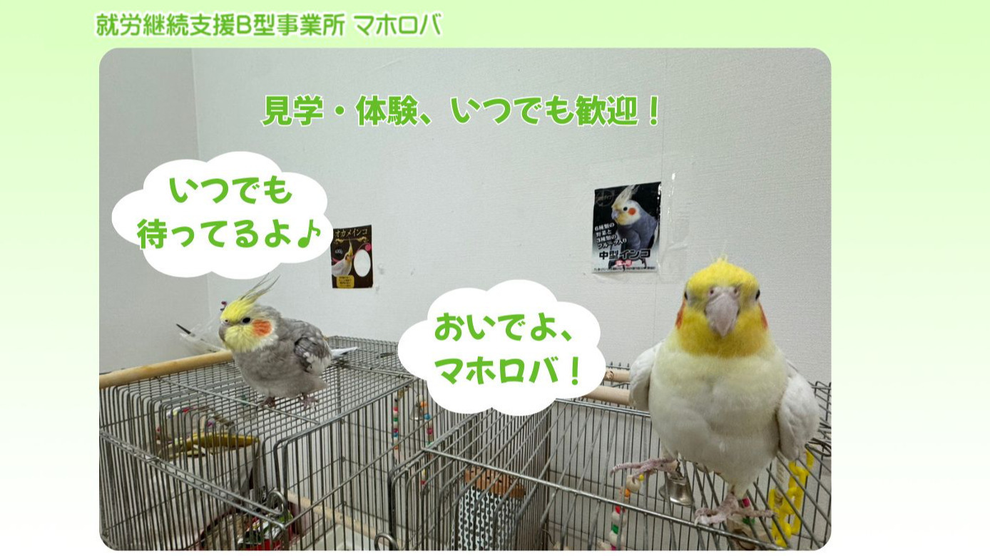 マホロバ