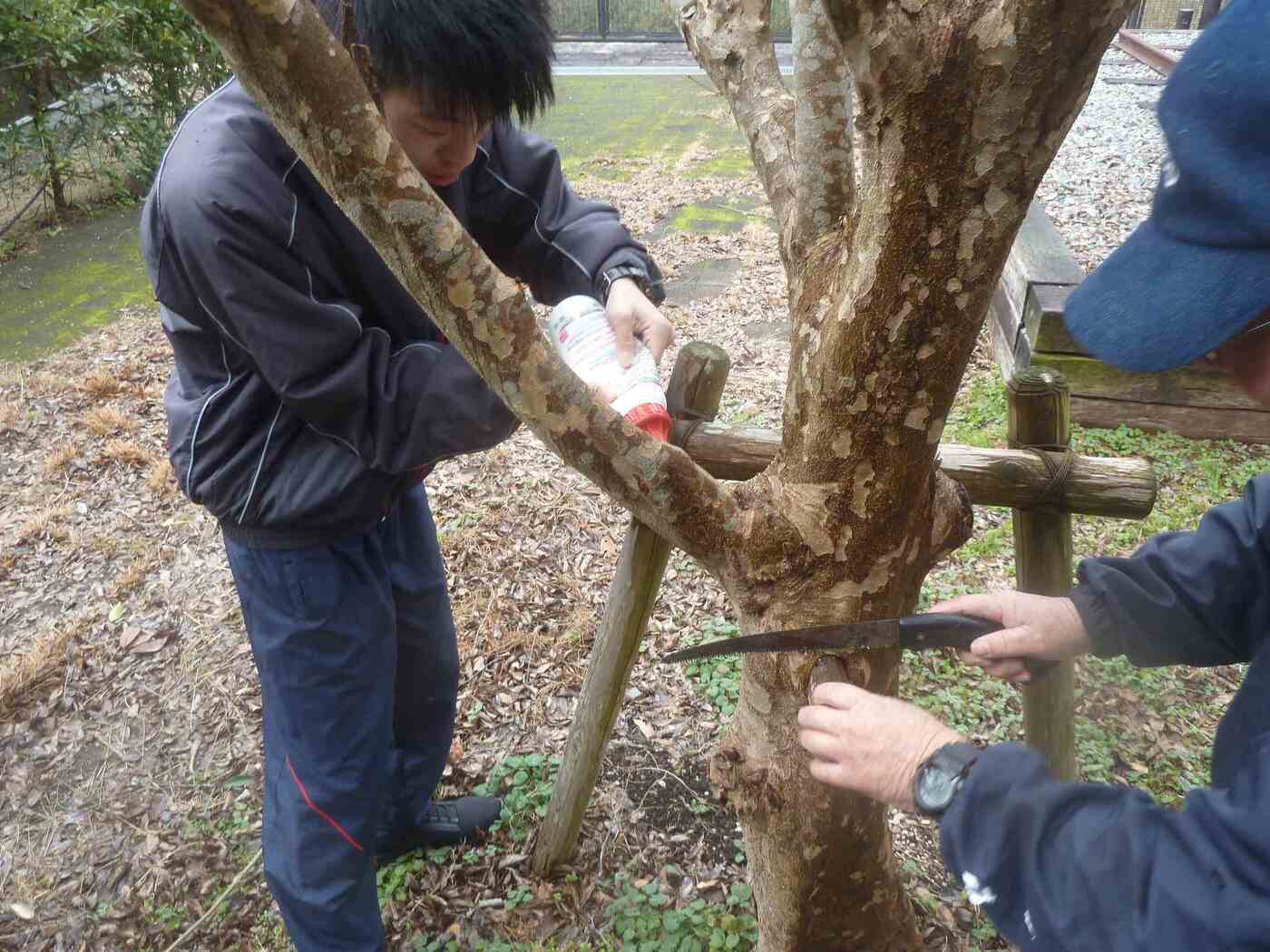 エンポート三次
