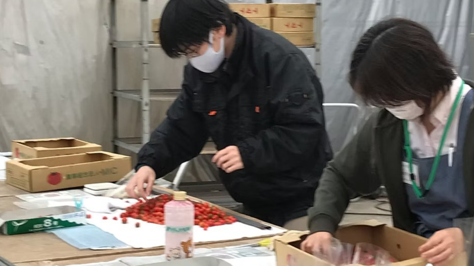 MIRAIZ(愛知県西尾市の就労継続支援A型事業所)の詳細情報 | LITALICO MIRAIZ(愛知県西尾市の就労継続支援A型事業所)の詳細情報 | LITALICO