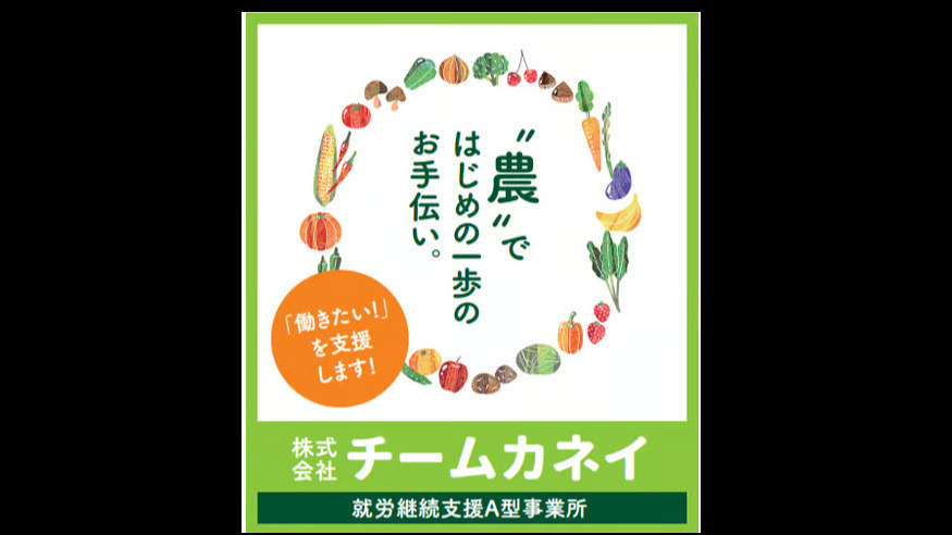 チームカネイ