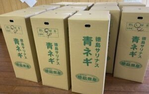 あゆむワークス板野