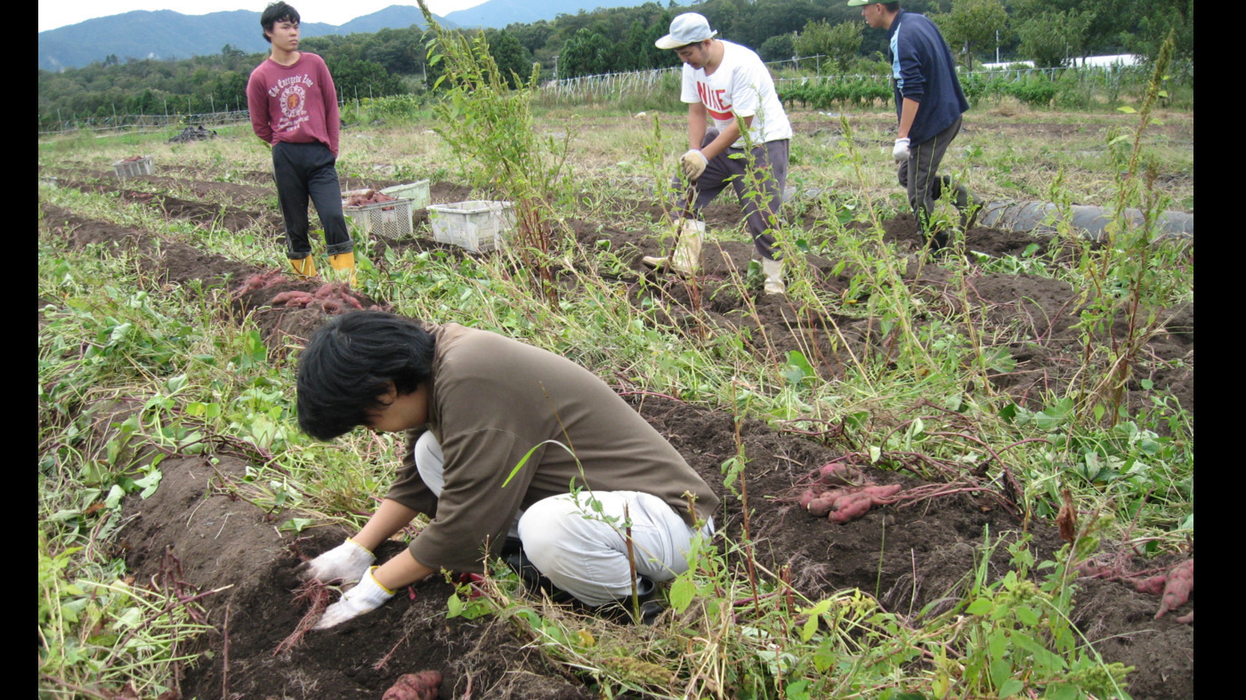 深草福祉農園